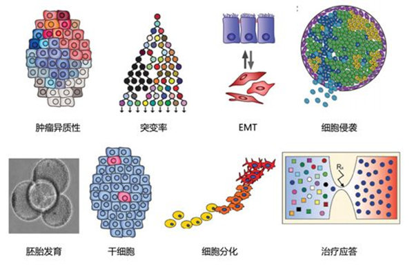 ϸ-һƪscRNA-seq