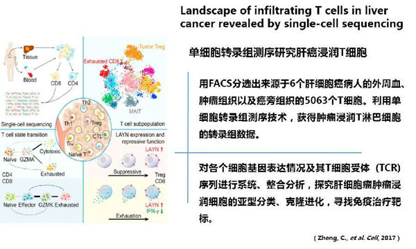 ϸ-һƪscRNA-seq